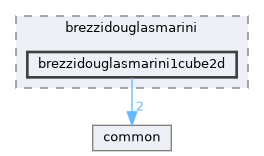 brezzidouglasmarini1cube2d
