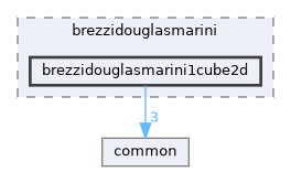 brezzidouglasmarini1cube2d