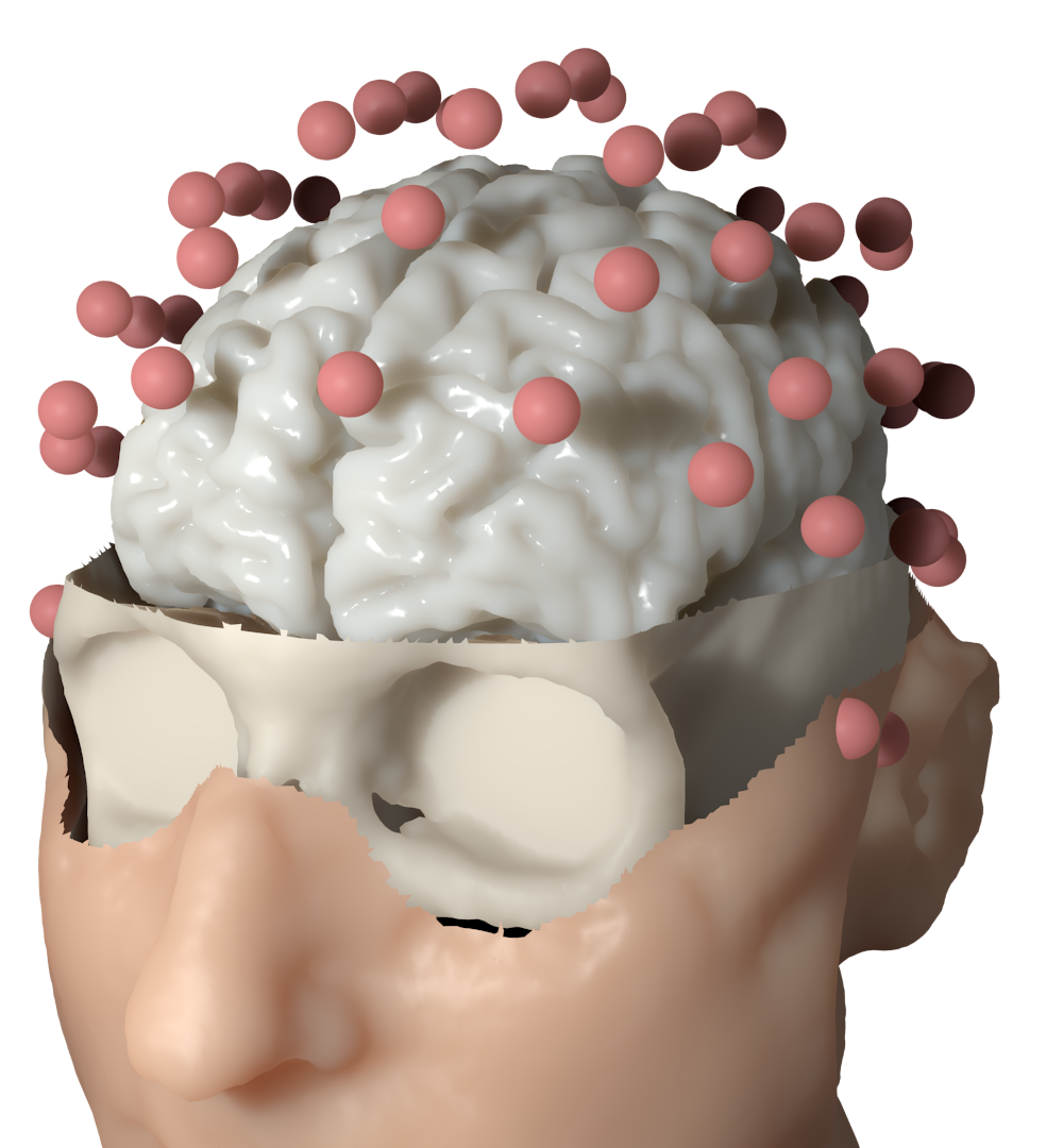 Electroencephalography Forward Problem